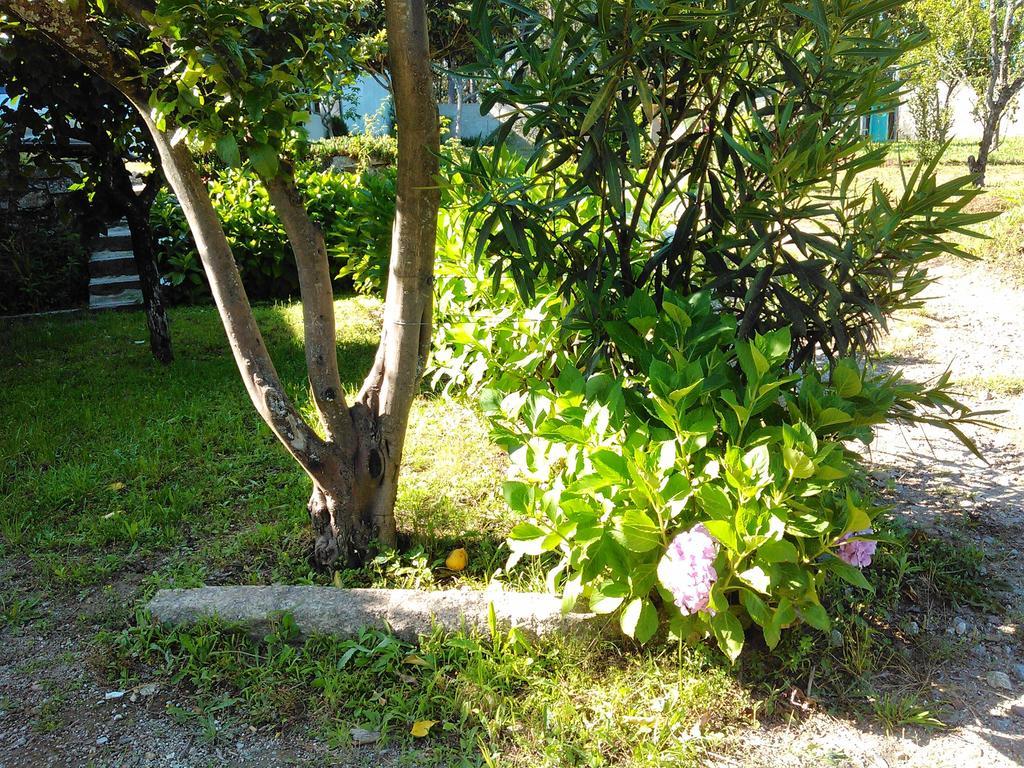 Vila Casa Do Fiscal Barroselas Pokoj fotografie